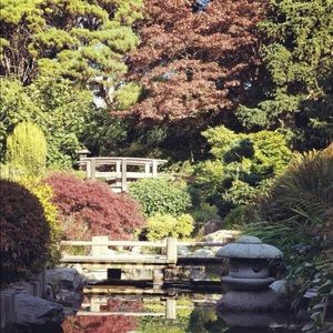 Meet your Posher, Markus